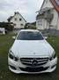 Mercedes-Benz E 250 BlueTEC 4Matic 7G-TRONIC Elegance - thumbnail 2