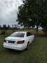 Mercedes-Benz E 250 BlueTEC 4Matic 7G-TRONIC Elegance - thumbnail 19