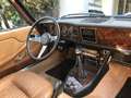Triumph Sonstige STAG Blau - thumbnail 5