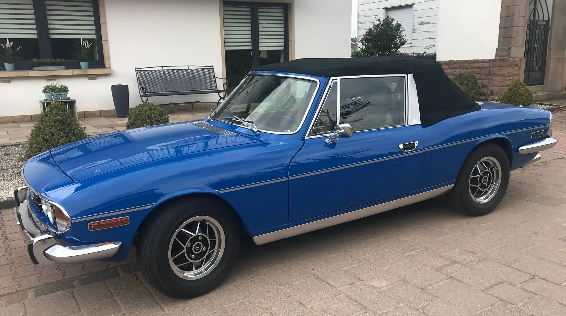 Triumph Sonstige STAG Blau - 2