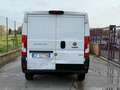 Fiat Ducato Ducato 35 3.0 CNG PM-TN Furgone Alb - thumbnail 5