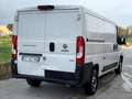 Fiat Ducato Ducato 35 3.0 CNG PM-TN Furgone Alb - thumbnail 7