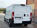 Fiat Ducato Ducato 35 3.0 CNG PM-TN Furgone Alb - thumbnail 4