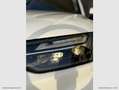 Audi Q5 Sportback TDI quattro mhev S tronic S line Bianco - thumbnail 8