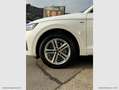Audi Q5 Sportback TDI quattro mhev S tronic S line Bianco - thumbnail 6