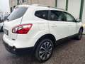 Nissan Qashqai 1.6 DCI N-TEC TETTO PANORAM 7 POSTI TAGLIANDI 2013 Weiß - thumbnail 5