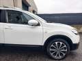 Nissan Qashqai 1.6 DCI N-TEC TETTO PANORAM 7 POSTI TAGLIANDI 2013 Weiß - thumbnail 4