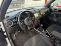 Volkswagen Beetle Cabriolet Design PDC Navi Bianco - thumbnail 13