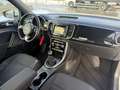 Volkswagen Beetle Cabriolet Design PDC Navi Blanc - thumbnail 20