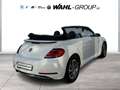 Volkswagen Beetle Cabriolet Design PDC Navi Bianco - thumbnail 2