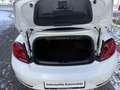 Volkswagen Beetle Cabriolet Design PDC Navi Blanc - thumbnail 23