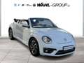 Volkswagen Beetle Cabriolet Design PDC Navi Bianco - thumbnail 3
