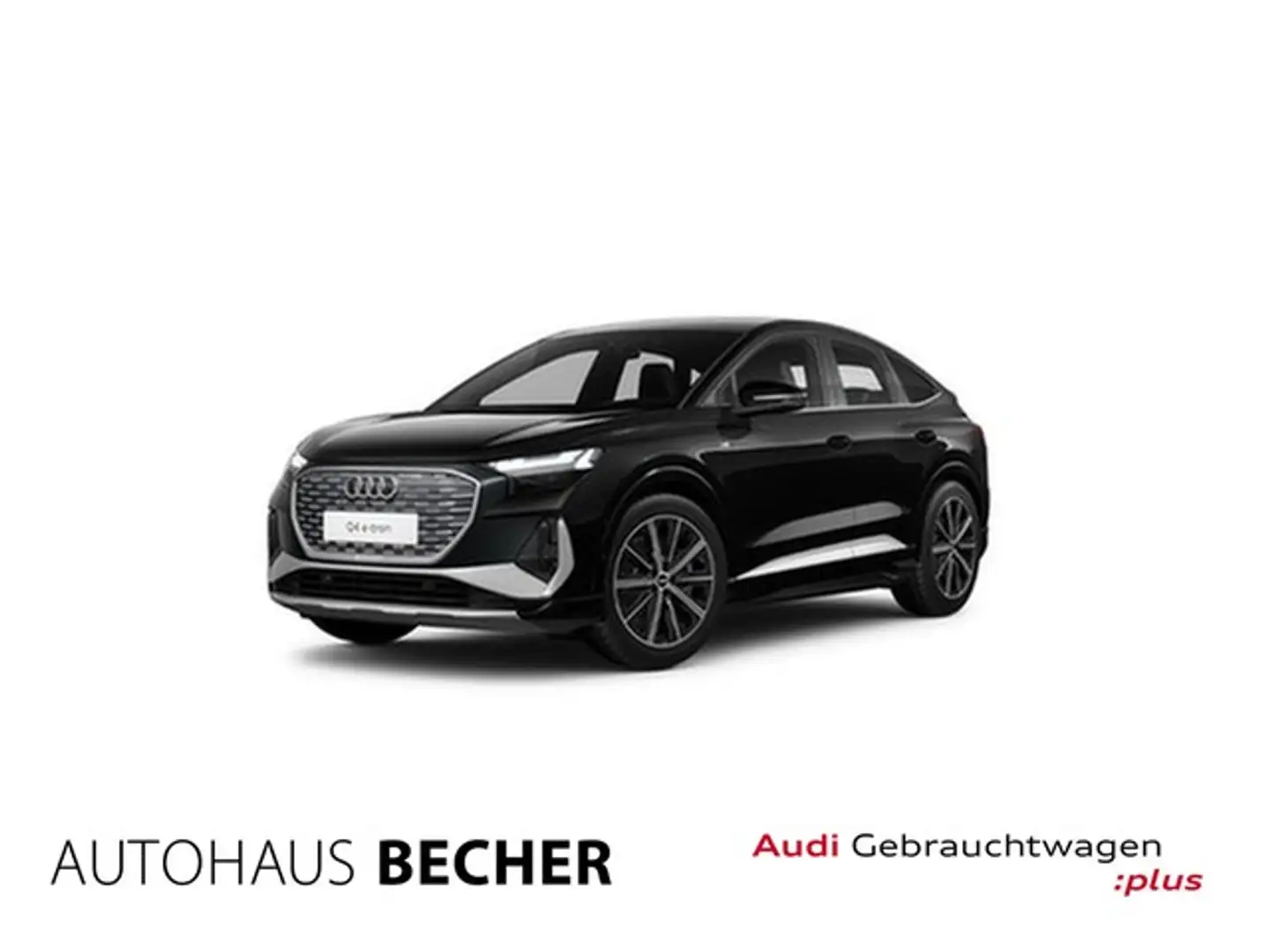 Audi e-tron /Rückfahrk/Matrix/Sitzhz Zwart - 1