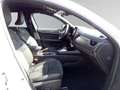 Renault Arkana ESPRIT ALPINE Full Hybrid 145 Weiß - thumbnail 12