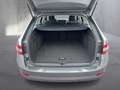 Skoda Superb 4x4 Ambition TDI DSG Grau - thumbnail 13
