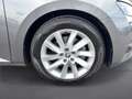 Skoda Superb 4x4 Ambition TDI DSG Grau - thumbnail 7