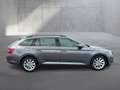 Skoda Superb 4x4 Ambition TDI DSG Grau - thumbnail 6