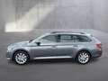 Skoda Superb 4x4 Ambition TDI DSG Grau - thumbnail 2