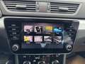 Skoda Superb 4x4 Ambition TDI DSG Grau - thumbnail 15
