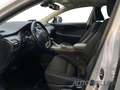 Lexus NX 300h Business Line *Navi*CarPlay*LED*LMF* White - thumbnail 13