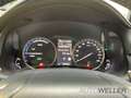 Lexus NX 300h Business Line *Navi*CarPlay*LED*LMF* White - thumbnail 15