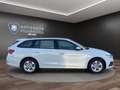 Skoda Octavia C. 2.0 TDI DSG 4x4 Ambition AHK+APP+NAVI Klima Weiß - thumbnail 4