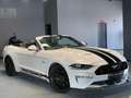 Ford Mustang 5.0 Ti-VCT V8 323KW  GT A.(Conv.) Blanco - thumbnail 1