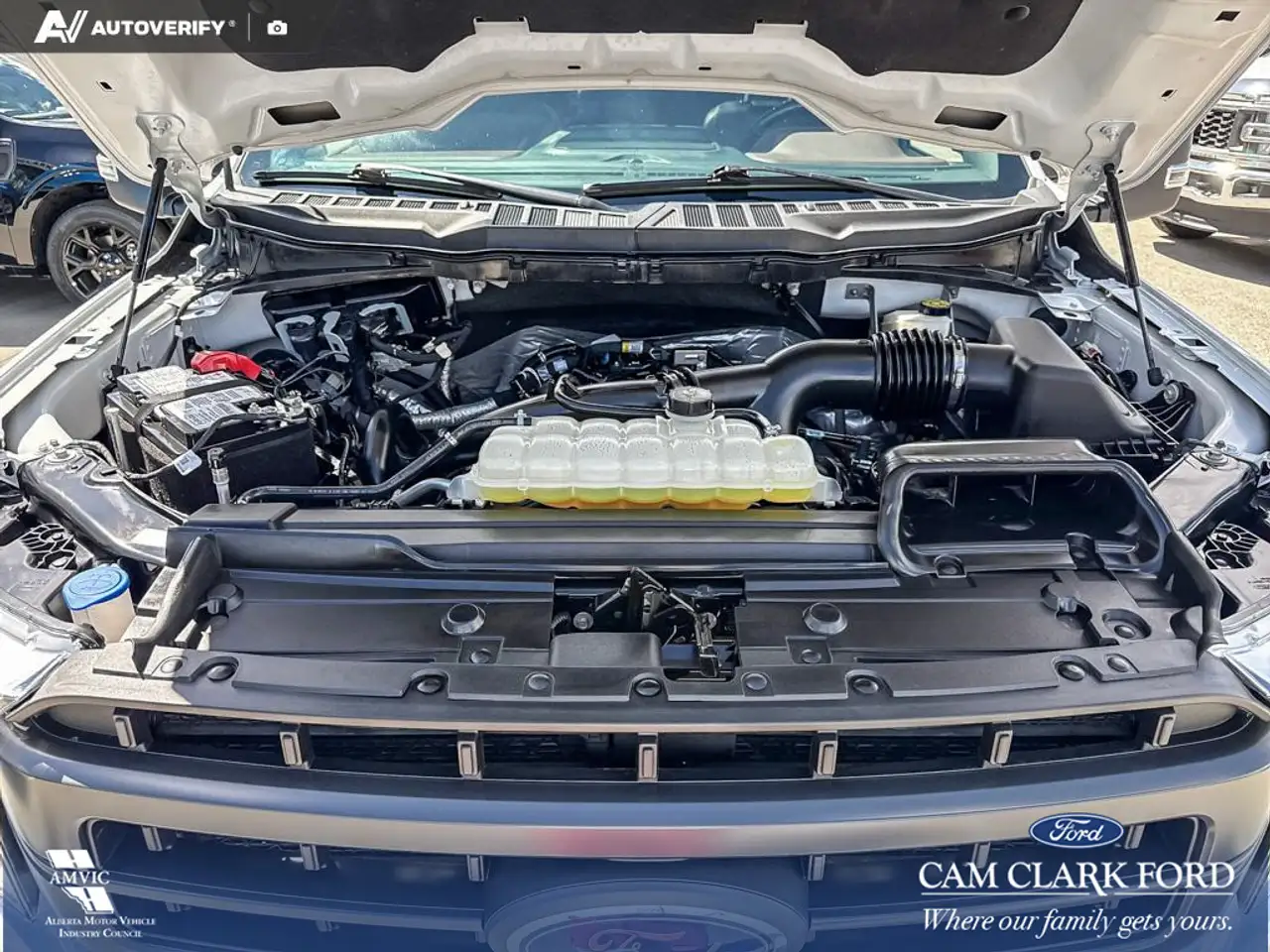 Ford F 150 fotografie Ford F 150