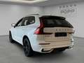 Volvo XC60 T8 AWD Ultra Black Edition FACELIFT 21" 360° HUD Weiß - thumbnail 3