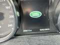Ford Kuga Hybrid ST-Line X Schwarz - thumbnail 31