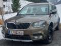 Skoda Yeti Yeti Ambition 2,0 TDI 4x4 Ambition Braun - thumbnail 1