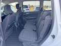 Ford Galaxy 2,0 EcoBlue SCR Titanium Weiß - thumbnail 10