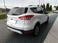 Ford Kuga 2.0 TDCI 4WD TITANIUM 140CV (2013) Bianco - thumbnail 4