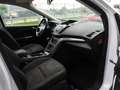 Ford Kuga 2.0 TDCI 4WD TITANIUM 140CV (2013) Bianco - thumbnail 7