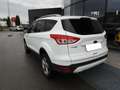 Ford Kuga 2.0 TDCI 4WD TITANIUM 140CV (2013) Bianco - thumbnail 3