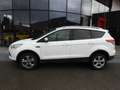 Ford Kuga 2.0 TDCI 4WD TITANIUM 140CV (2013) Bianco - thumbnail 2