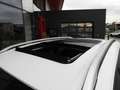 Ford Kuga 2.0 TDCI 4WD TITANIUM 140CV (2013) Bianco - thumbnail 9