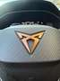 CUPRA Formentor tdi 4drive 150cv dsg LUCI SOFFUSE,TELECAMERA,NAVI Grau - thumbnail 38