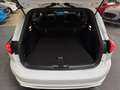 Ford Focus Turnier 1.0 EcoBoost MHEV ST-Line *KAMERA* Weiß - thumbnail 15