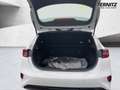 Kia Ceed / cee'd CEED 1.0T 100PS VISION *NAVI*KAMERA*SHZ*PDC* Weiß - thumbnail 5
