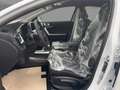 Kia Ceed / cee'd CEED 1.0T 100PS VISION *NAVI*KAMERA*SHZ*PDC* Weiß - thumbnail 6