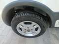 Fiat Panda Panda II 2003 1.3 mjt 16v Climbing 4x4 75cv White - thumbnail 5