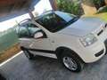 Fiat Panda Panda II 2003 1.3 mjt 16v Climbing 4x4 75cv White - thumbnail 8