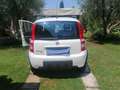 Fiat Panda Panda II 2003 1.3 mjt 16v Climbing 4x4 75cv White - thumbnail 7