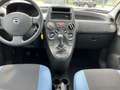 Fiat Panda 1.2 4x4 CLIMBING 60 CV Grigio - thumbnail 10