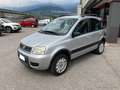 Fiat Panda 1.2 4x4 CLIMBING 60 CV Grigio - thumbnail 2