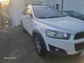 Chevrolet Captiva Captiva 2.2 TCDi FWD LS 7pl. S Wit - thumbnail 15