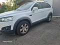 Chevrolet Captiva Captiva 2.2 TCDi FWD LS 7pl. S Wit - thumbnail 9