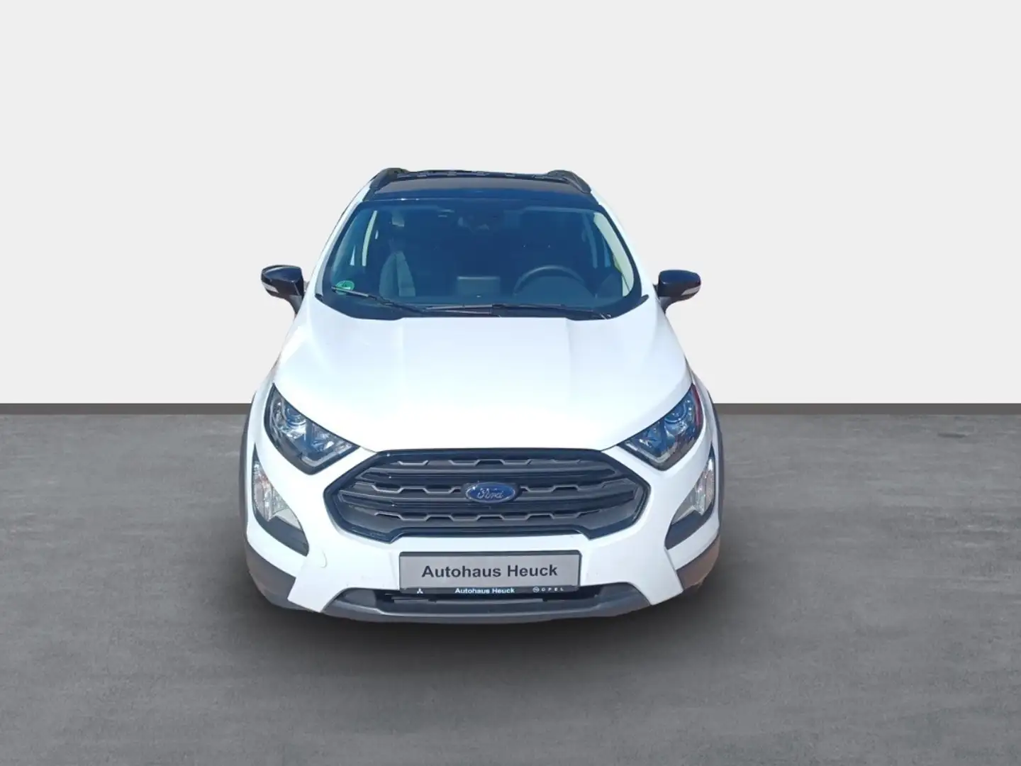 Ford EcoSport Active 1.0 EcoBoost EU6d LED Klimaautom DAB Ambien Blanco - 2