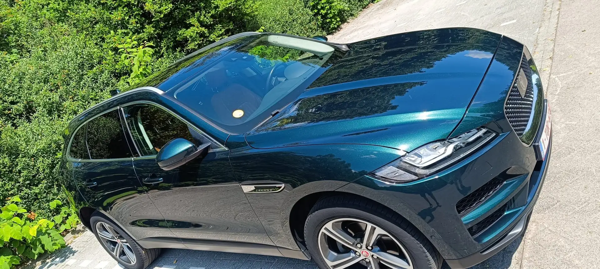 Jaguar F-Pace F-Pace 30d AWD Portfolio Verde - 2